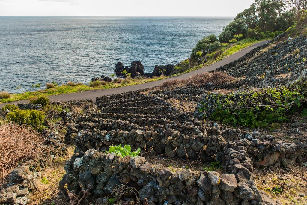 Adega Velha Villa Calheta de Nesquim Luaran gambar