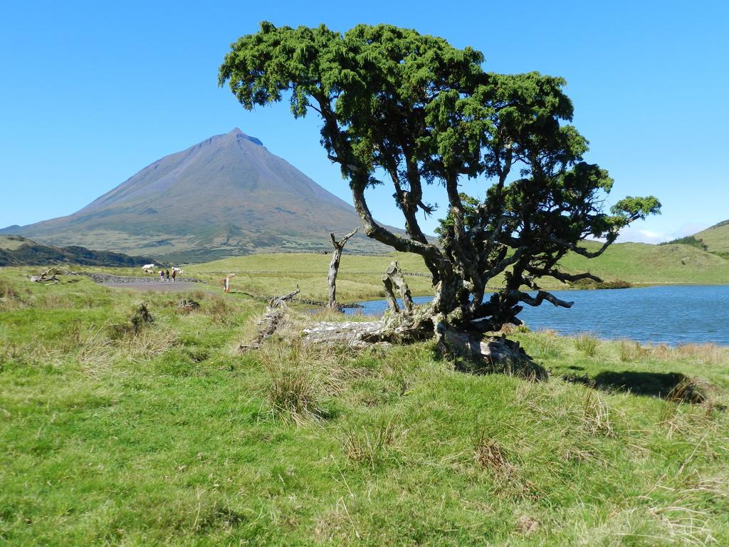 Adega Velha Villa Calheta de Nesquim Luaran gambar